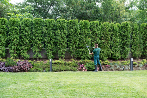 Trusted Woodbury, NJ Tree Removal and Landscaping Services Experts